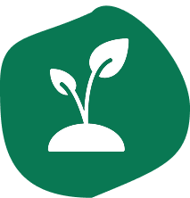 Made from Plants